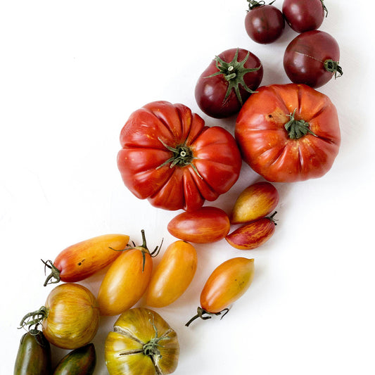 TGC Heirloom Tomato Pack