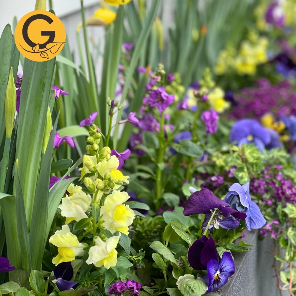 Seasonal Planter Service