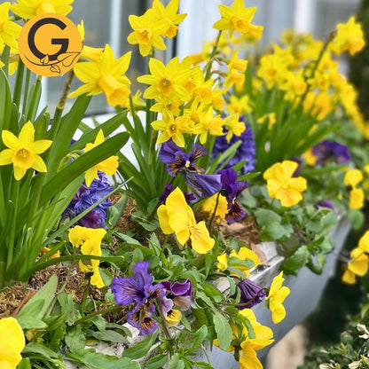 Seasonal Planter Service