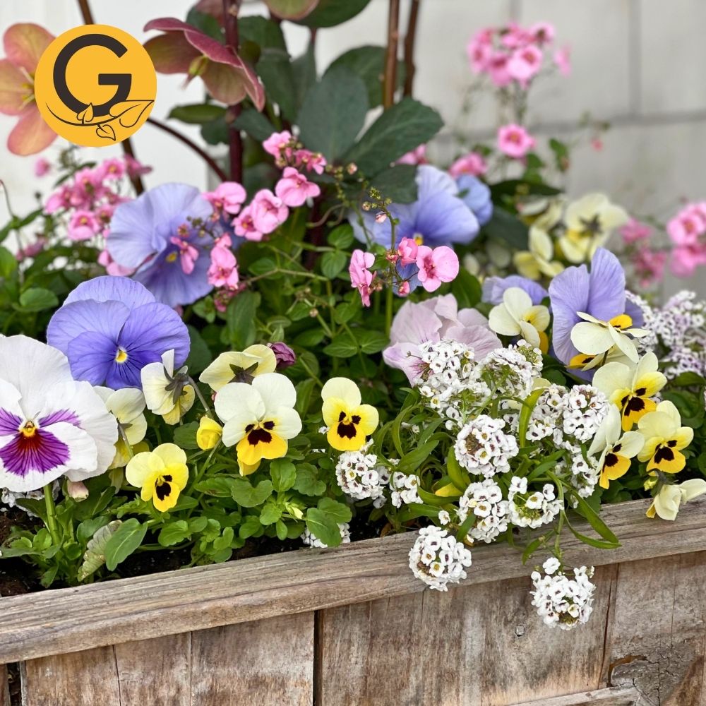 Seasonal Planter Service