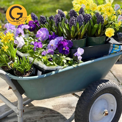 Seasonal Planter Service