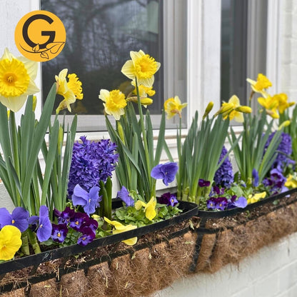 Seasonal Planter Service