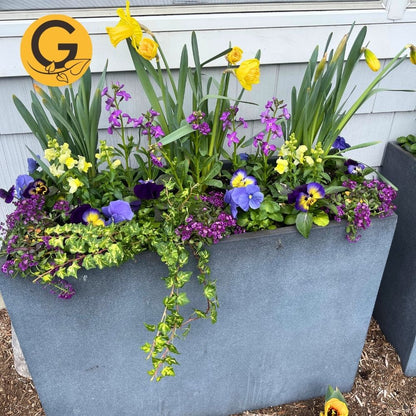 Seasonal Planter Service