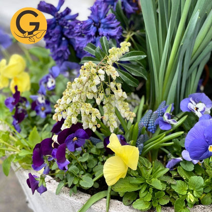 Seasonal Planter Service
