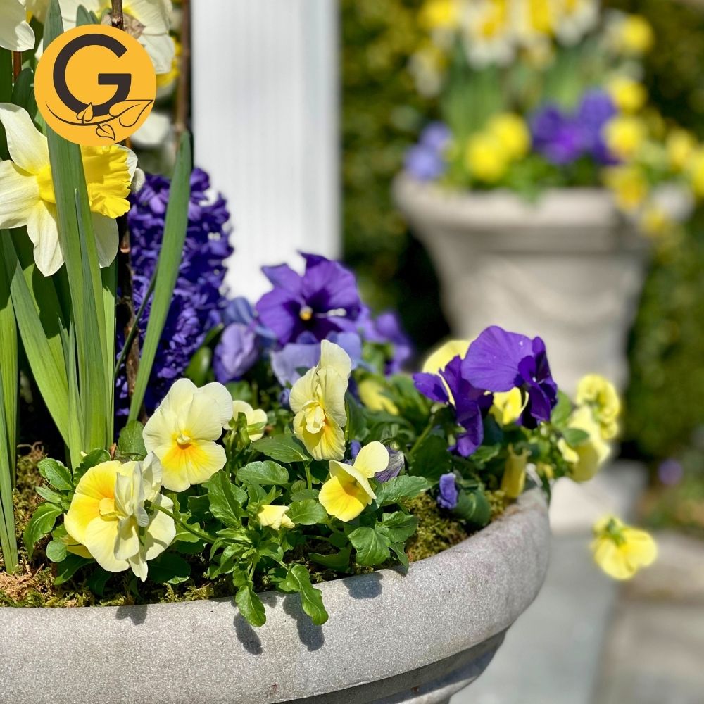 Seasonal Planter Service