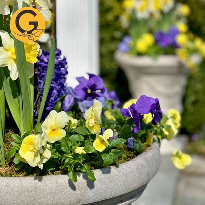 Seasonal Planter Service