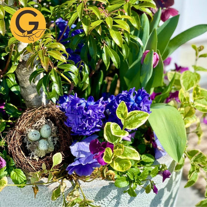 Seasonal Planter Service
