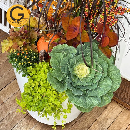 Seasonal Planter Service