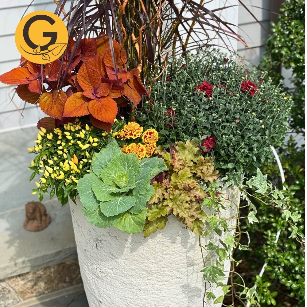 Seasonal Planter Service