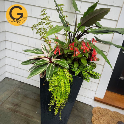 Seasonal Planter Service