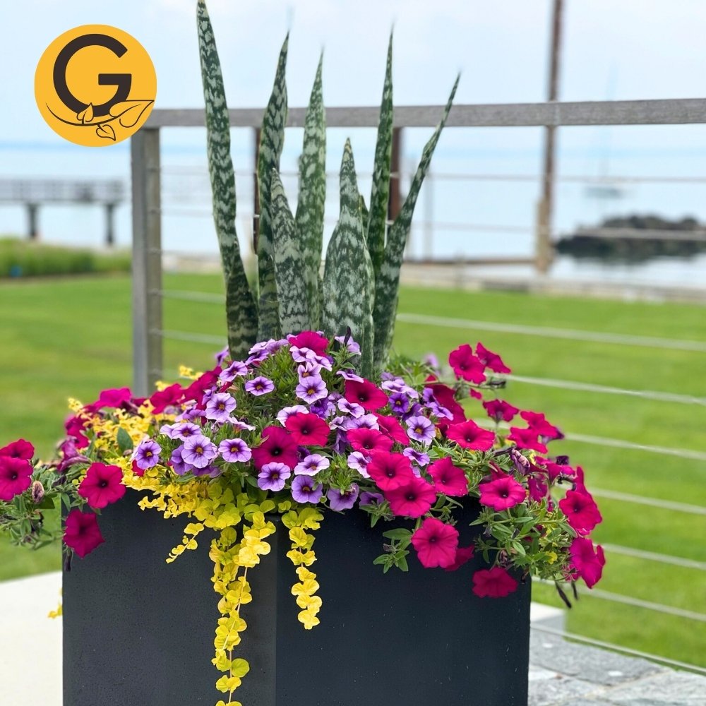 Seasonal Planter Service