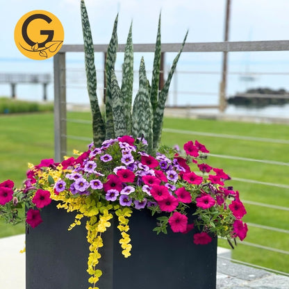 Seasonal Planter Service