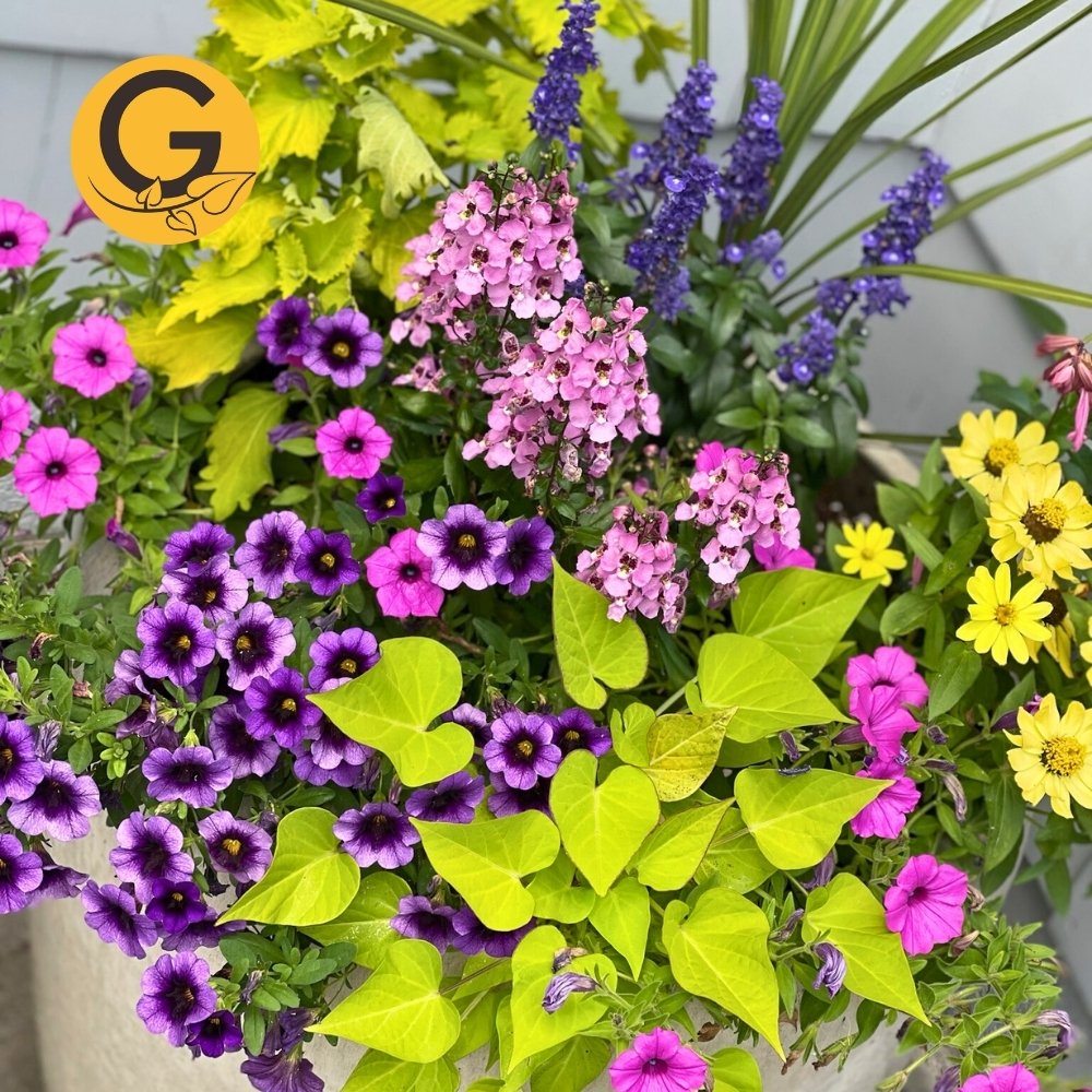 Seasonal Planter Service