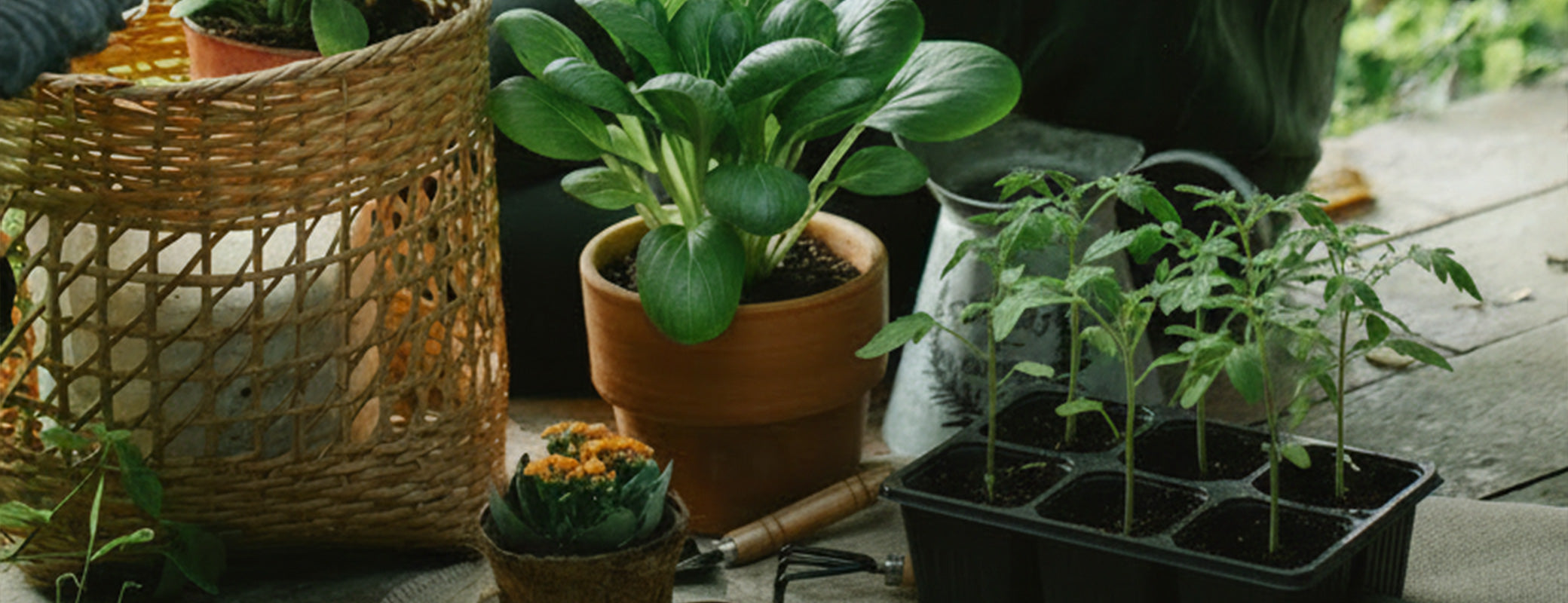 The Gardener's Center