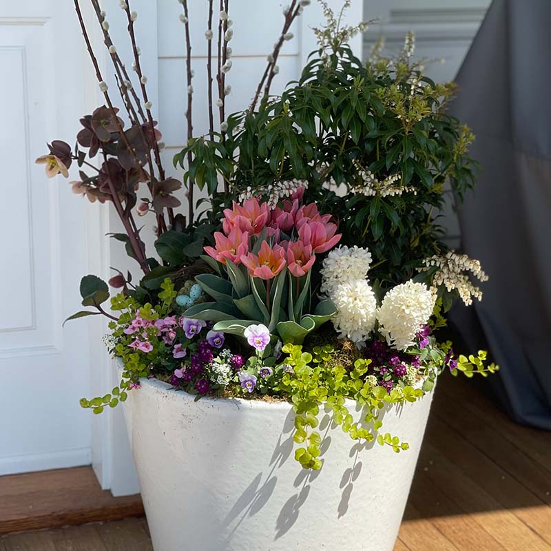 Make your neighbors jealous wit custom container designs from The Gardener's Center.