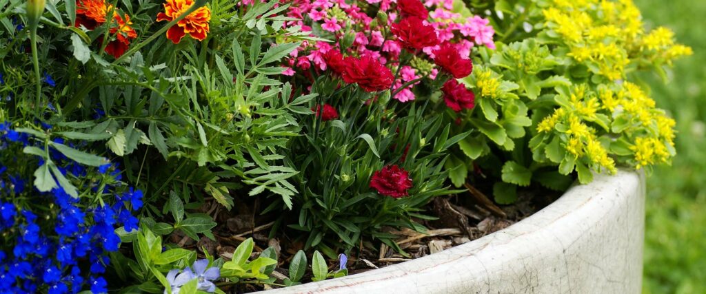 How to Properly Pot a Plant 🪴 The Gardener's Center • Darien, CT