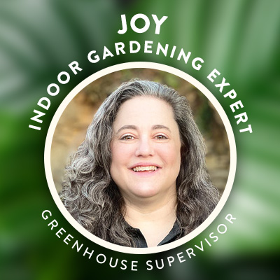 Joy â€¢ indoor Gardening Expert @ The Gardener's Center