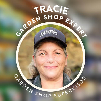 Tracie • Garden Shop Expert @ The Gardener's Center