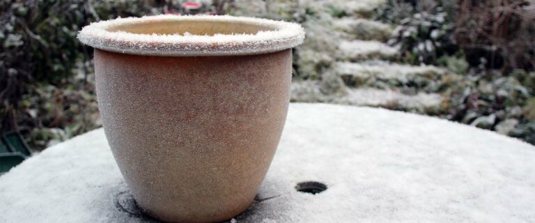 Winter pots