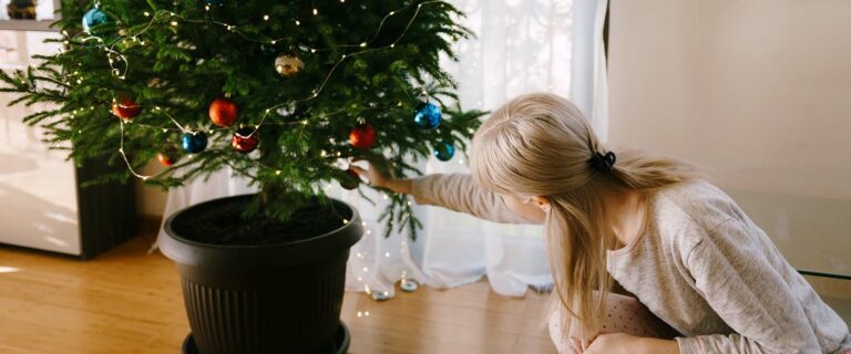 Pro-tips for enjoying a living Christmas tree for years to come.