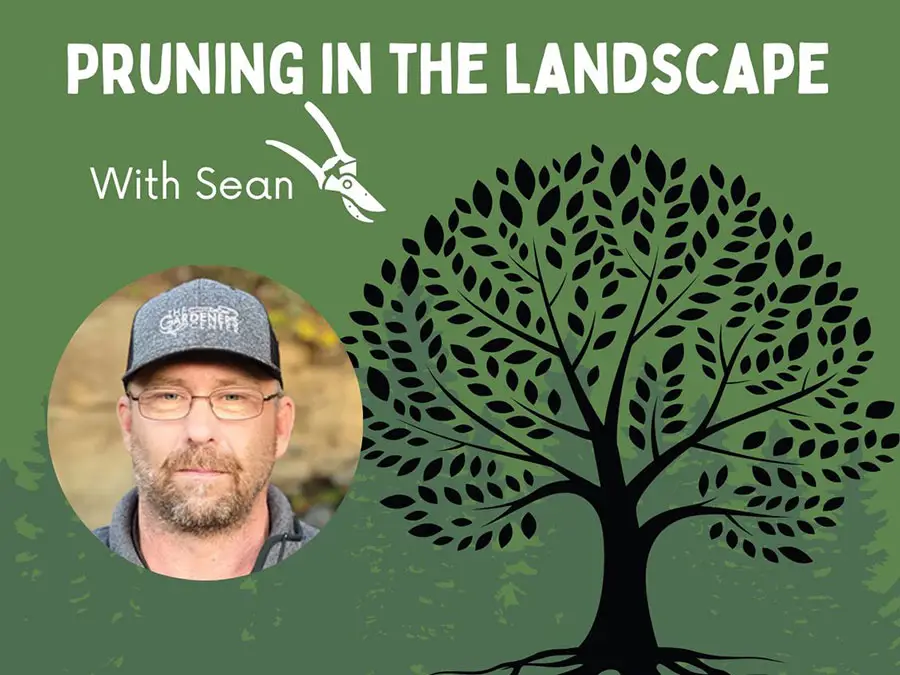 Pruning in the Landscape Seminar at The Gardener's Center