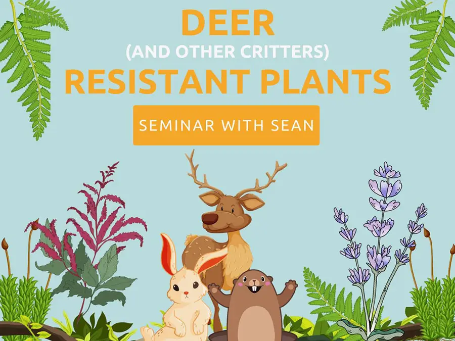 Deer & Critter Resistant Plant Seminar at The Gardener's Center