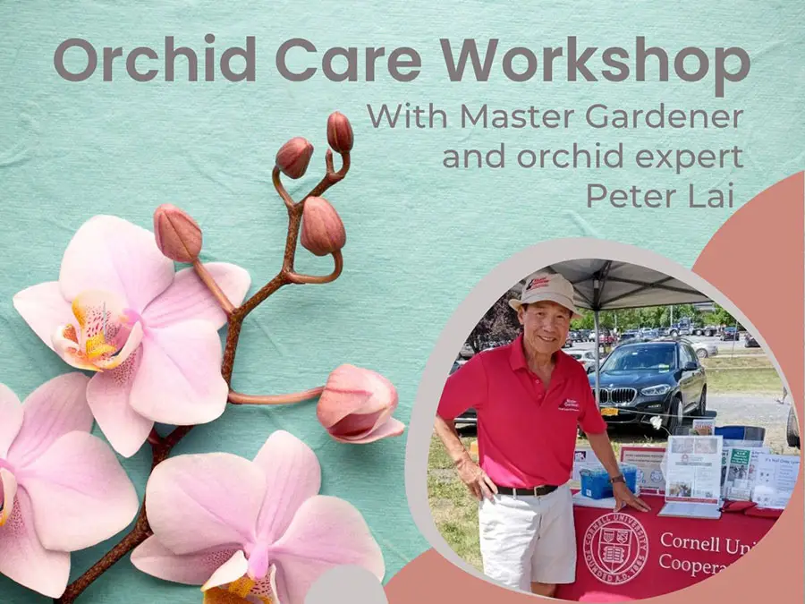 Orchid Care Workshop at The Gardener's Center
