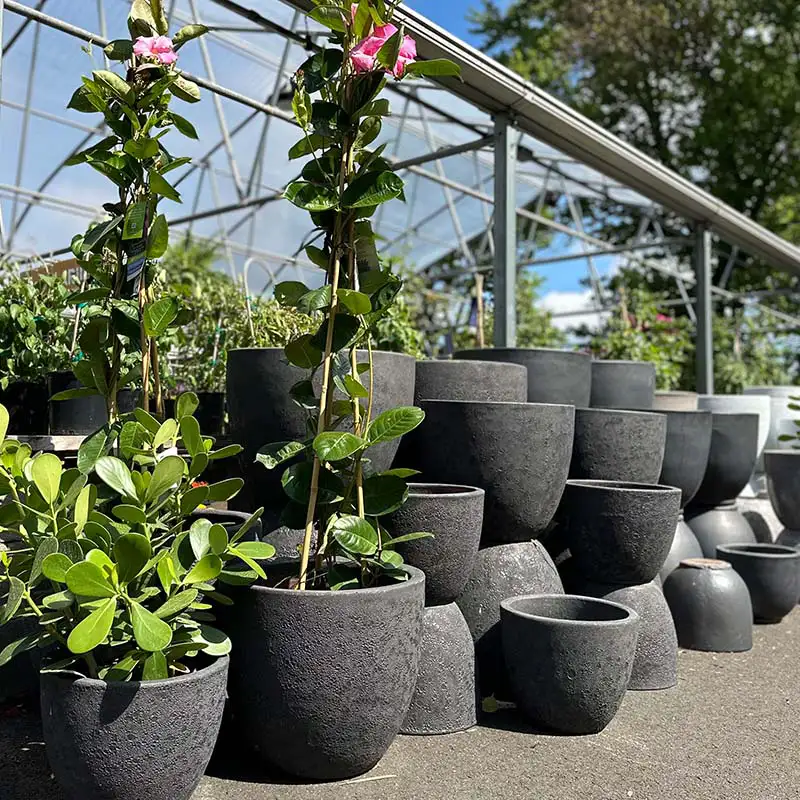 Find beautiful planters at The Gardener's Center