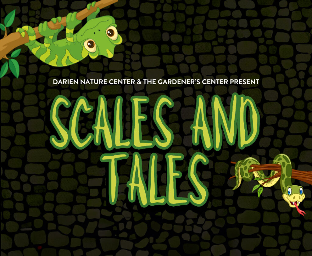 Scales & Tales Storytime