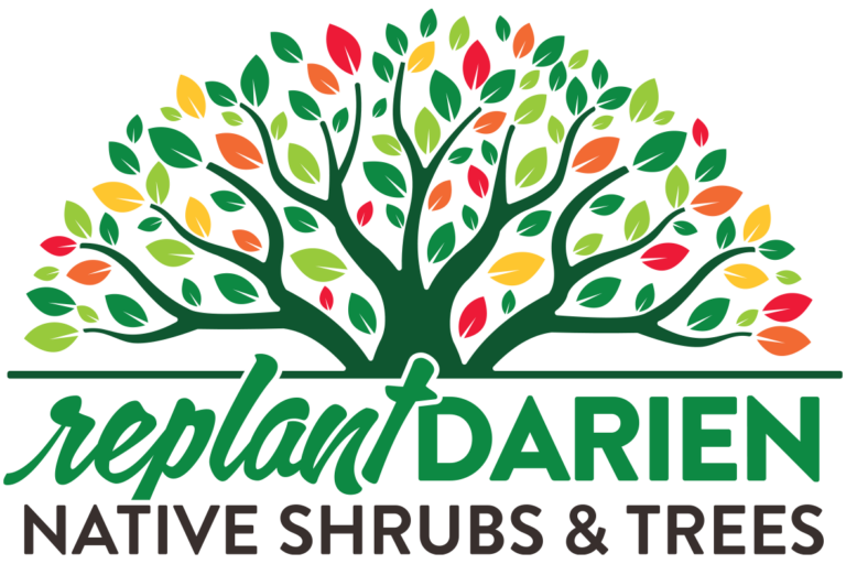 Replant Darian logo