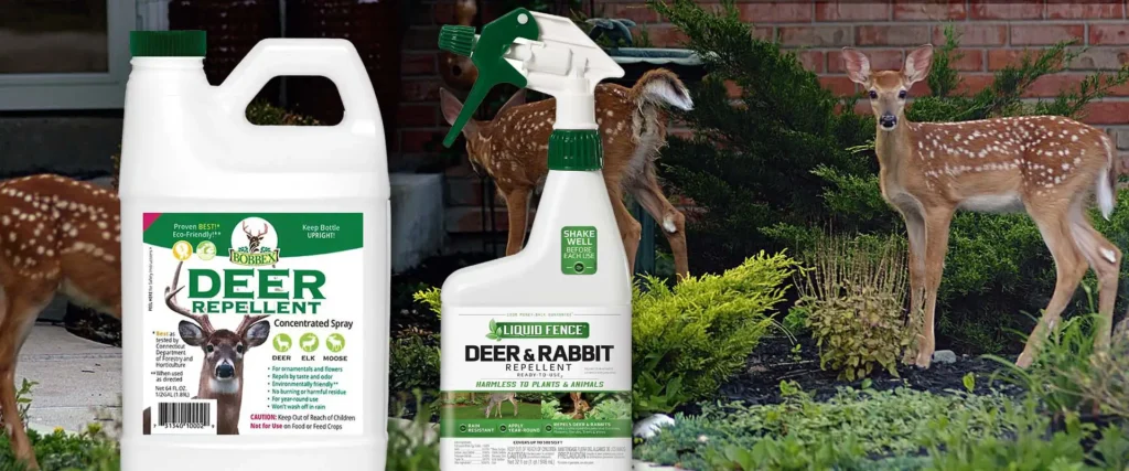 The Gardener's Center recommends Bobex and Liquid Fence for deer deterance.