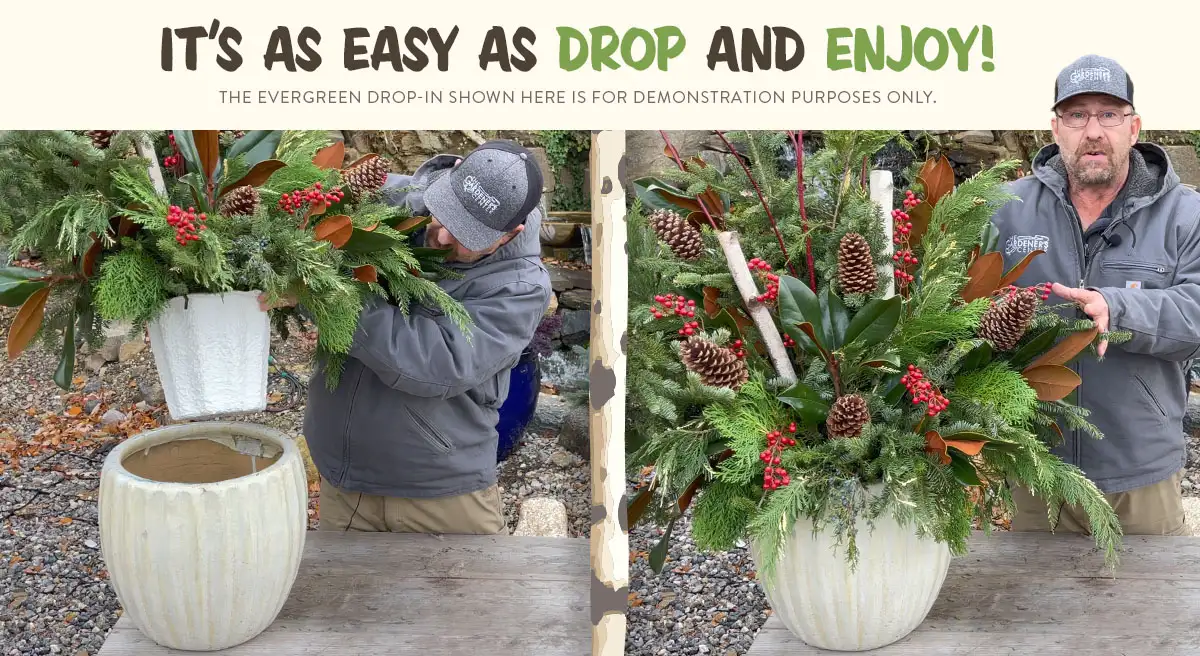 Evergreen Porch Pot Drop-In Demo