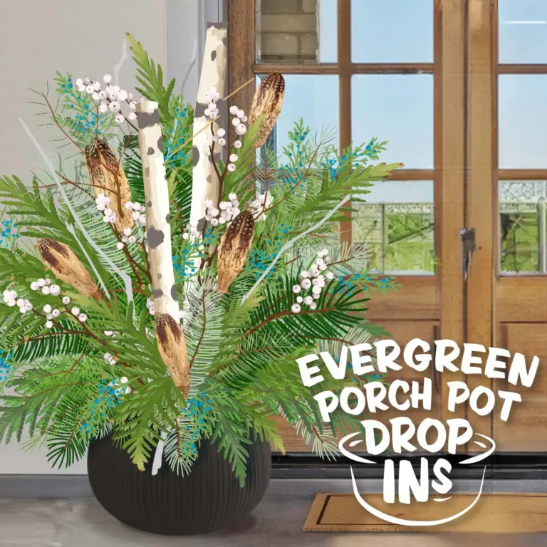 Evergreen Porch Pot Drop-Ins at The Gardener's Center