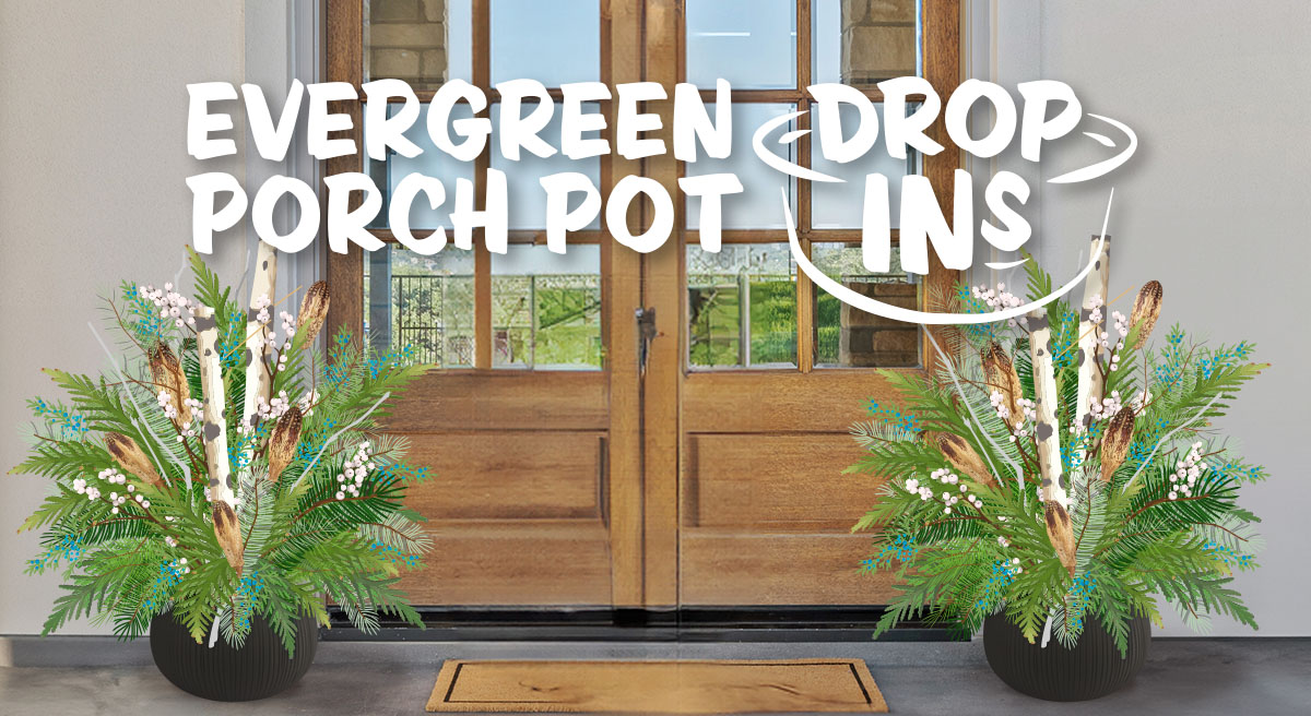 Evergreen Porch Pot Drop-Ins at The Gardener's Center