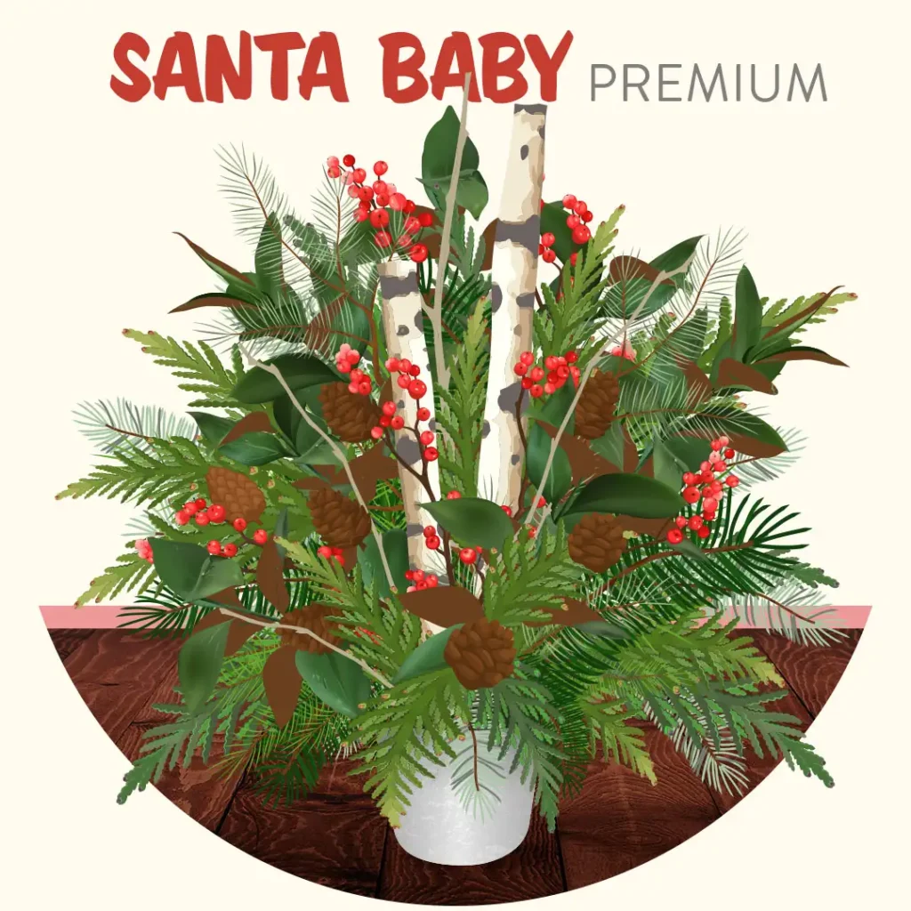 Evergreen Porch Pot Drop-In "Santa Baby" at The Gardener's Center