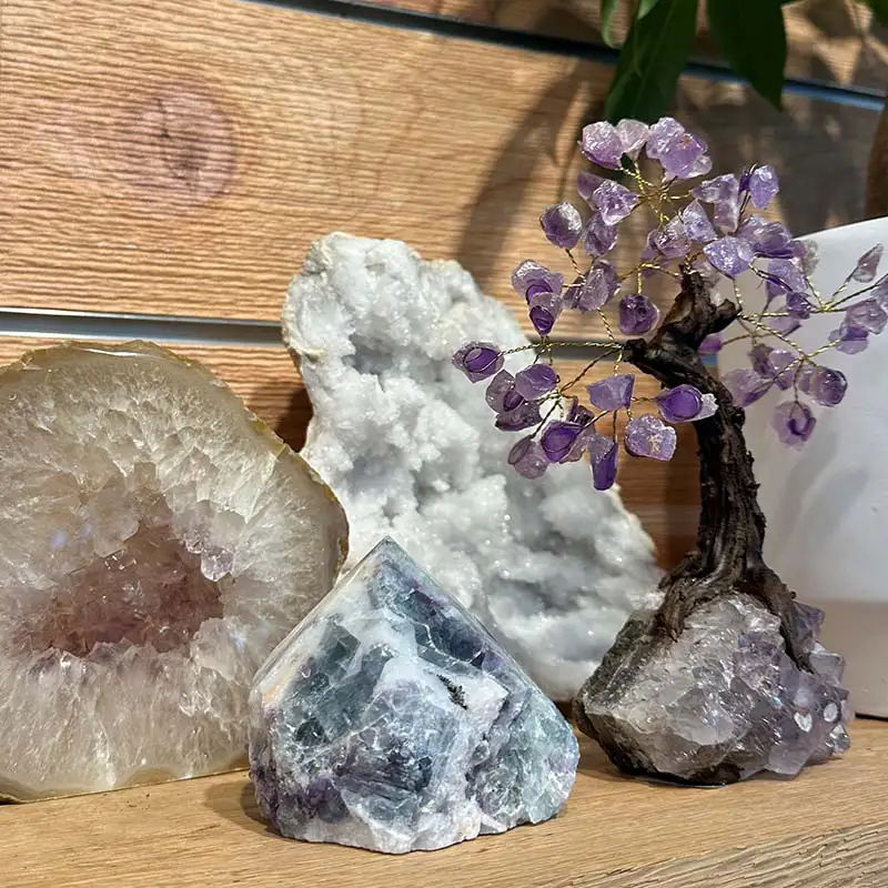 Find crystals, geodes, minerals, gemstones, rocks and more at The Gardener's Center.