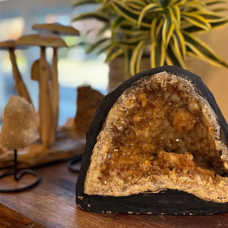 Find crystals, geodes, minerals, gemstones, rocks and more at The Gardener's Center.