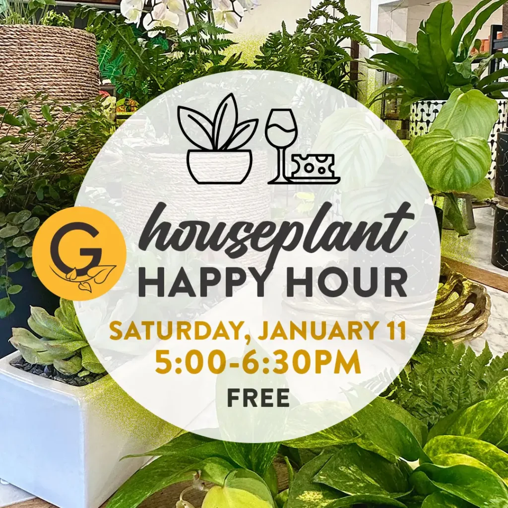 Houseplant Happy Hour at The Gardener's Center