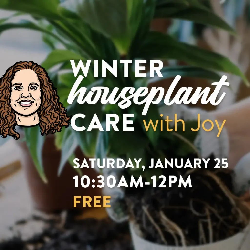 Houseplant Care Workshop