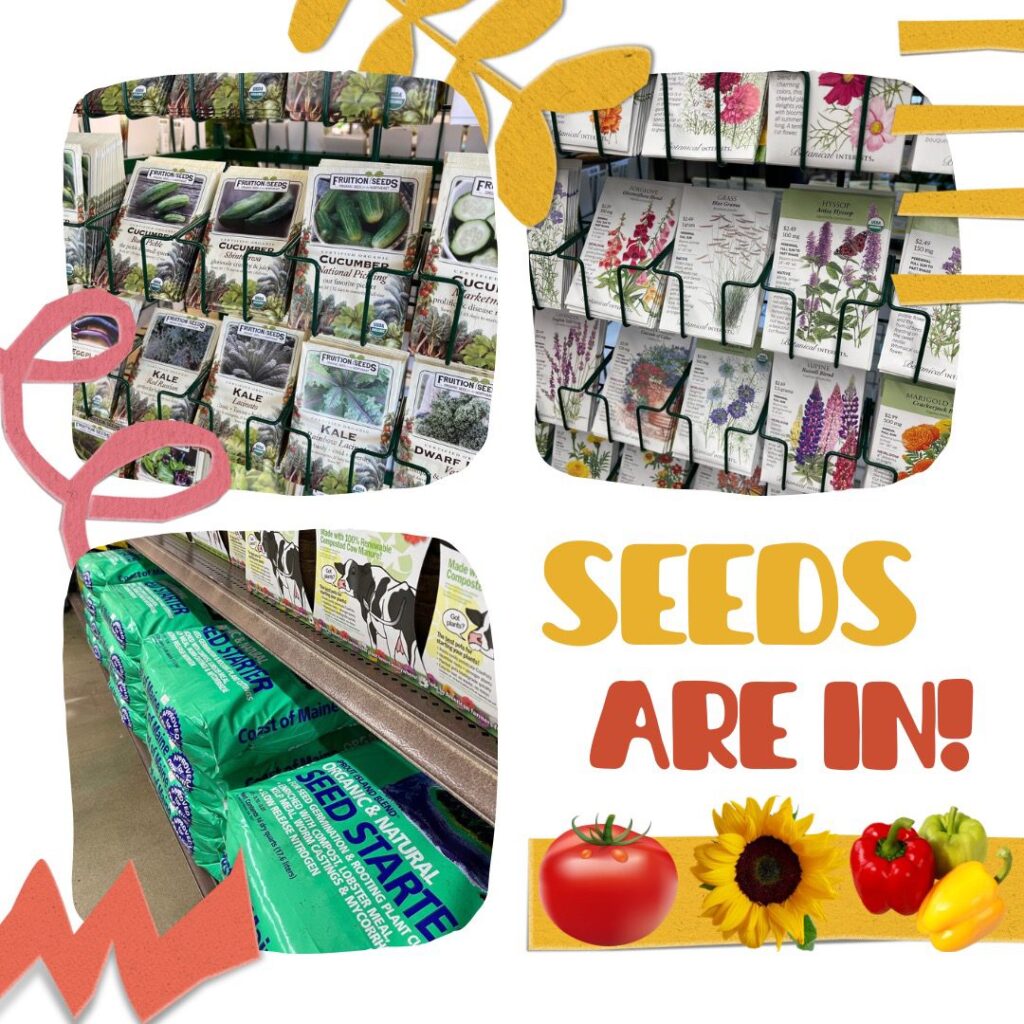 Seeds Are In-Store Now.